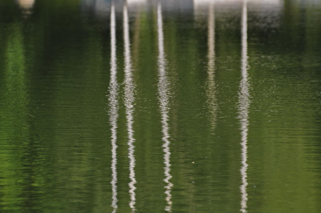 Reflet-013.jpg
