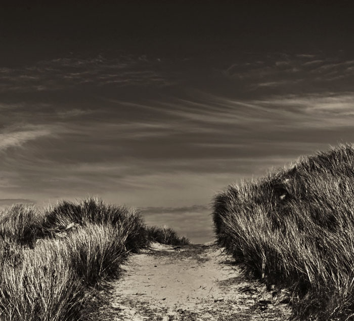 pathway .jpg