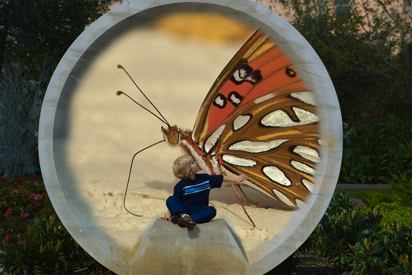 bflydream3 copy.jpg