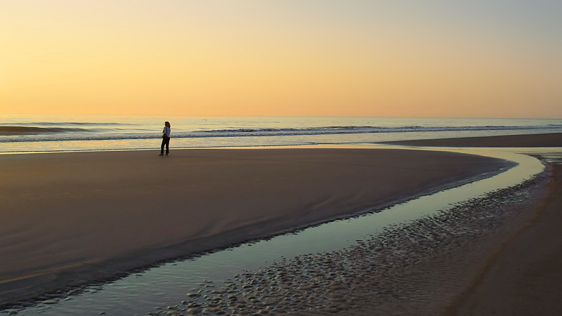 Morning Contemplation