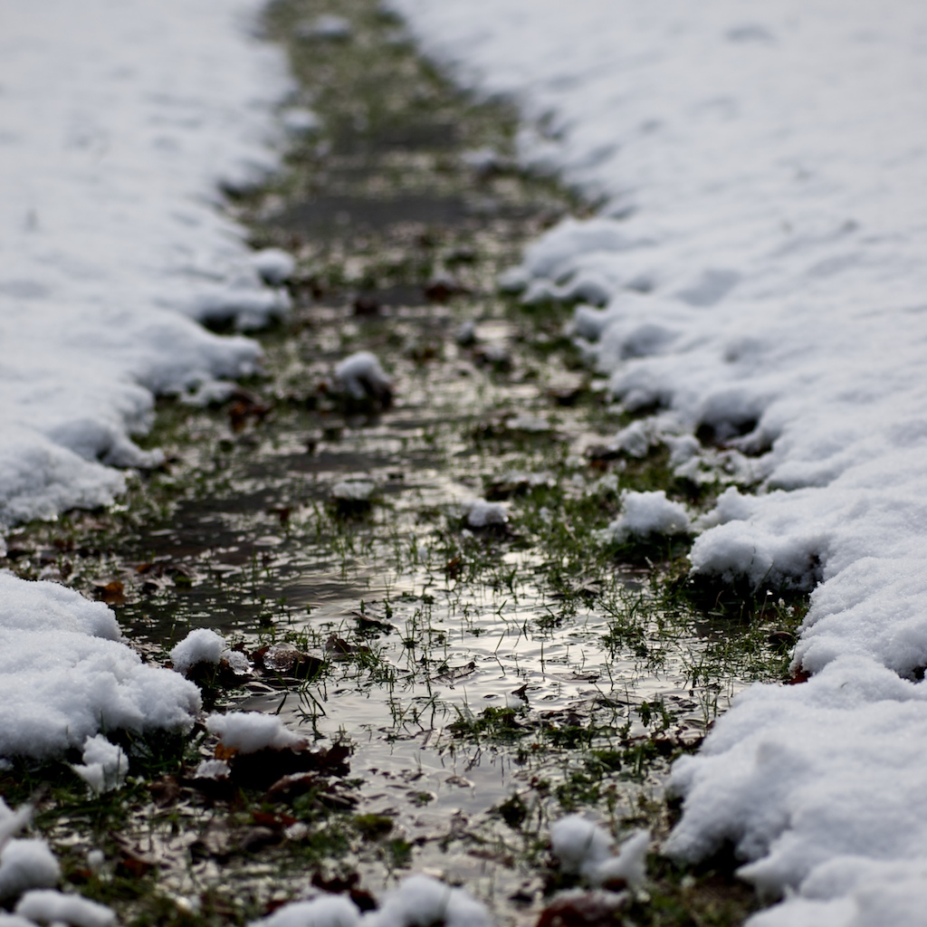 wintersnow 5.jpg