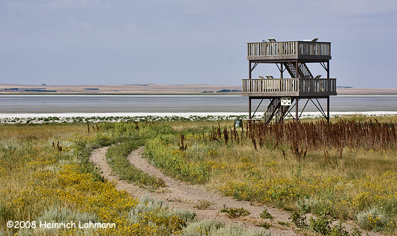 GP0296-Reed Lake Observation Tower.jpg