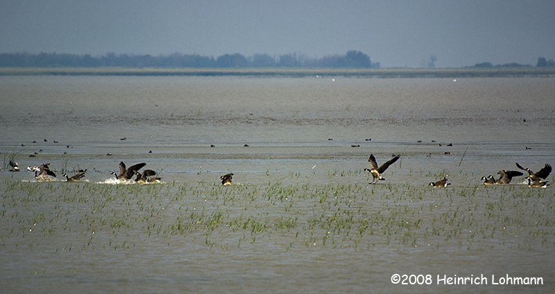 GP0453-Whitewater Lake.jpg