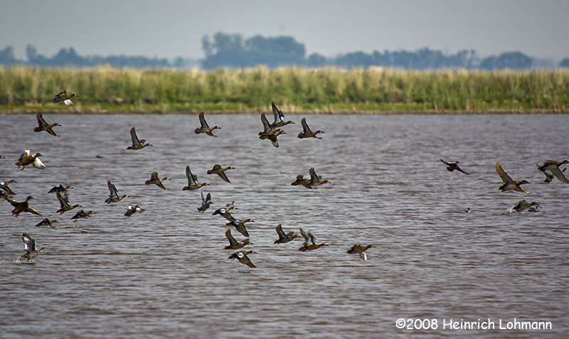 GP0457-Whitewater Lake.jpg