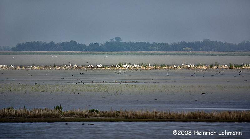 GP0702-Whitewater Lake.jpg