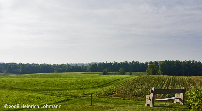 GP2875-lonely bench.jpg