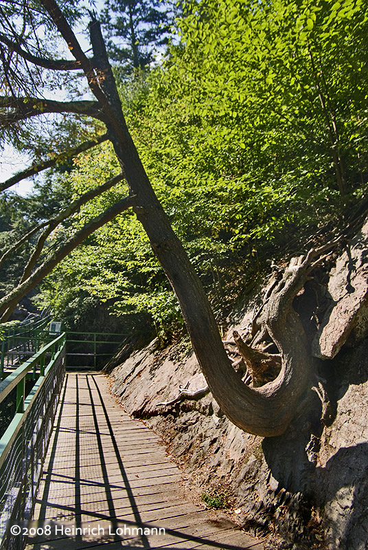 GP3052-High Falls Gorge.jpg