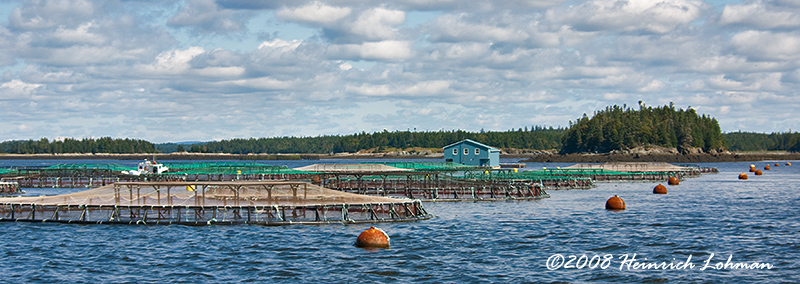 GP3984-Salmon Farm.jpg