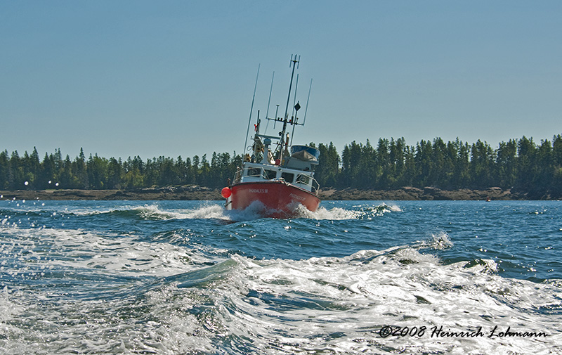 GP4021-New Brunswick.jpg