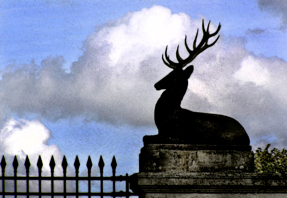 Cerf