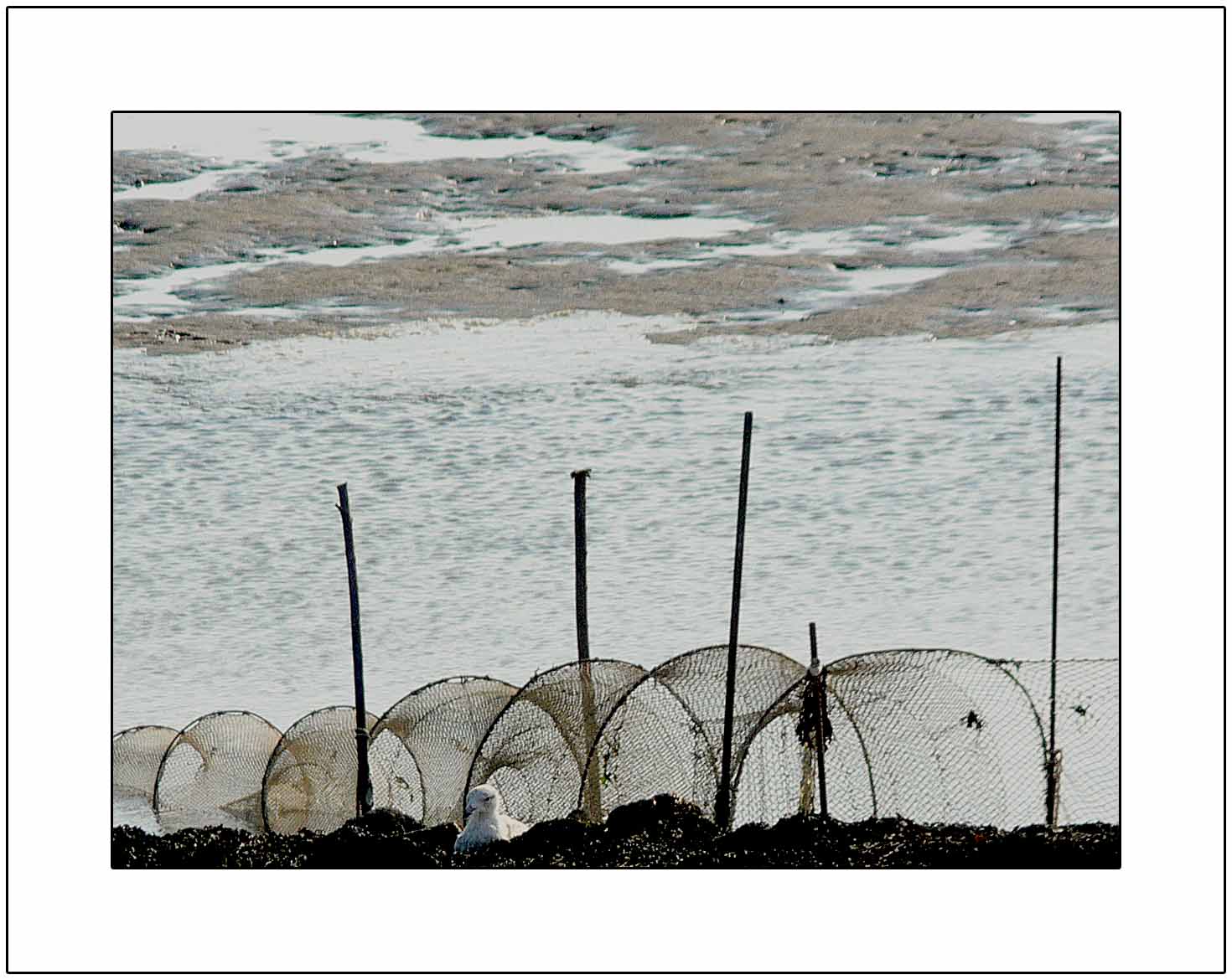 Norderney