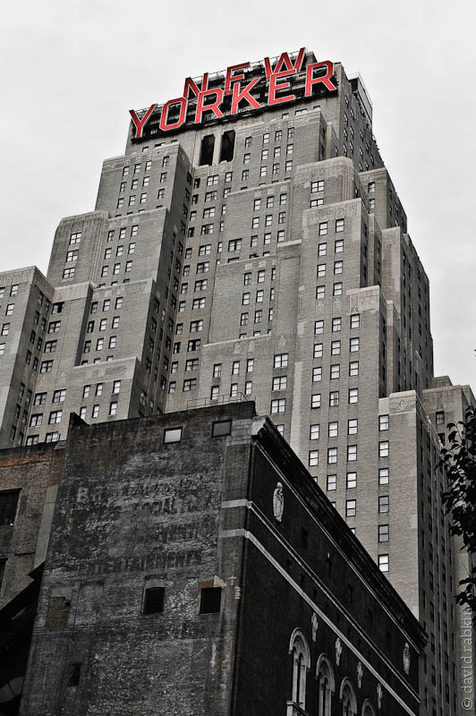 New Yorker