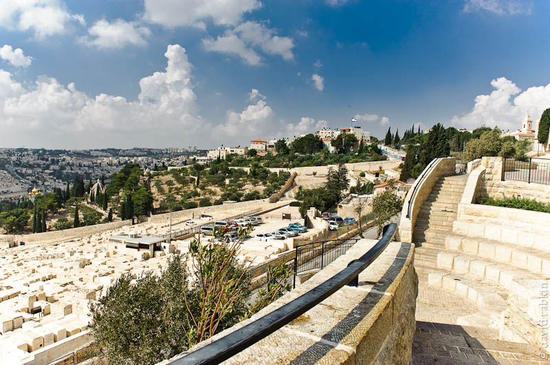 t20100901153009-rabkin-0321.jpg