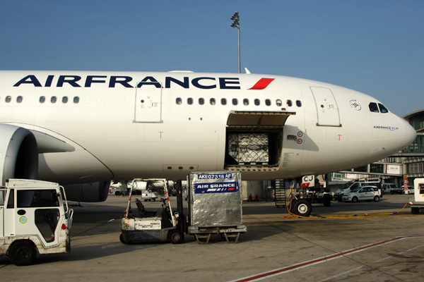 AIR FRANCE AIRBUS A330 200 CDG RF IMG_1812.jpg