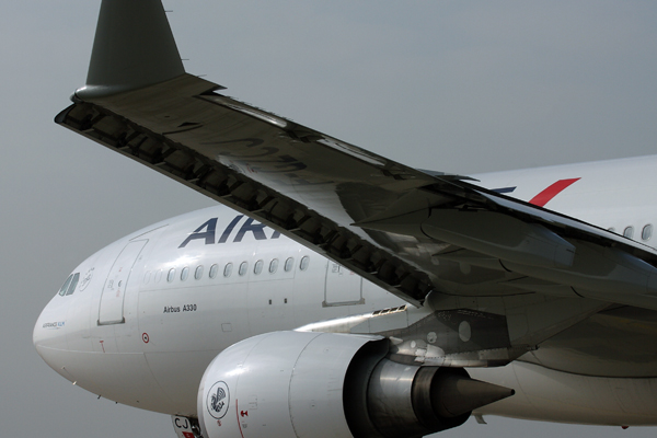 AIR FRANCE AIRBUS A330 200 CDG RF IMG_3121.jpg