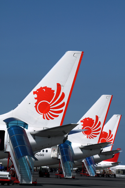 LION AIR TAILS SUB RF IMG_7832.jpg