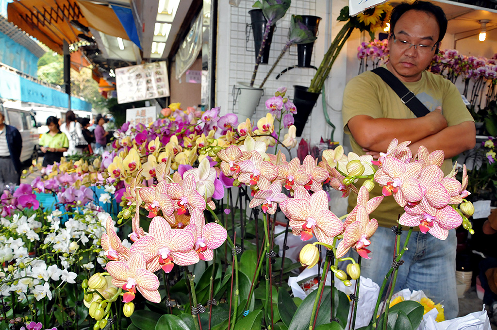 Mongkok flower market