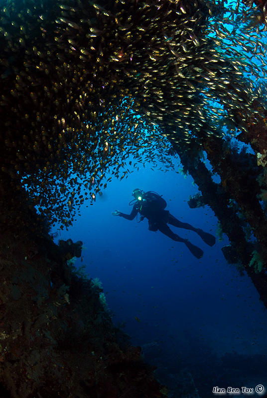 Glass sweepers and a diver