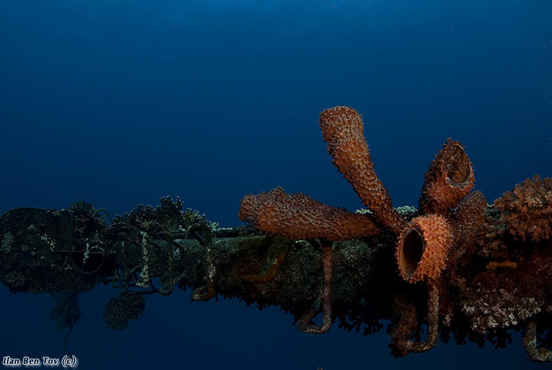 The wreck of the Salem Express