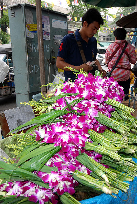 DSC_2529cs.jpg