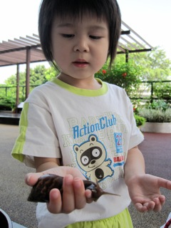o2/05/716905/1/128197973.jlhUkm7L.carryingsnailsinhand.jpeg