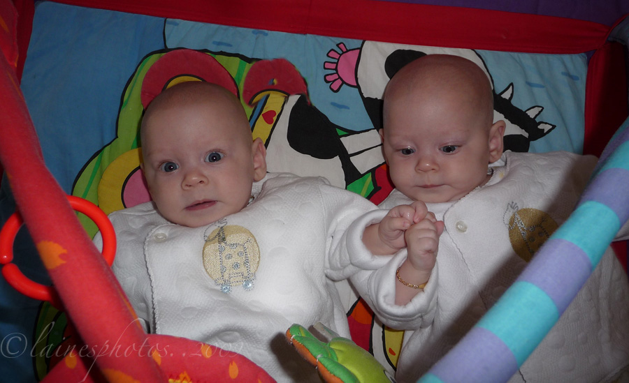 Jorja & Emily @ 4 months