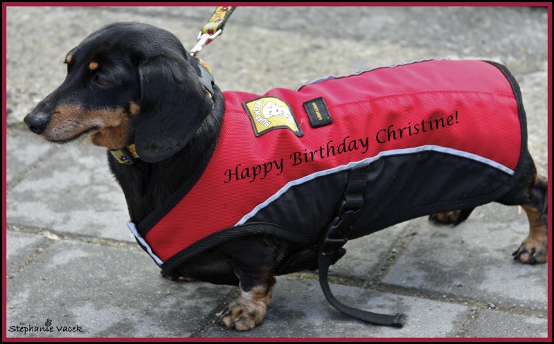 Happy Birthday Christine!!!