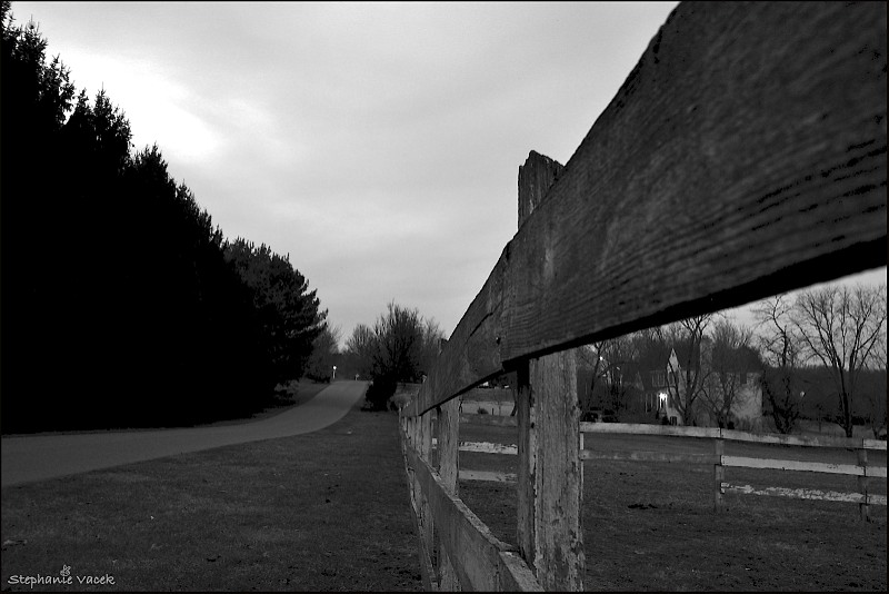 Rural Nightscape