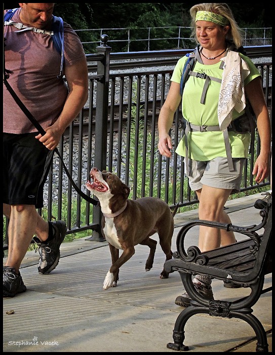 Me and You and a Dog Named Boo