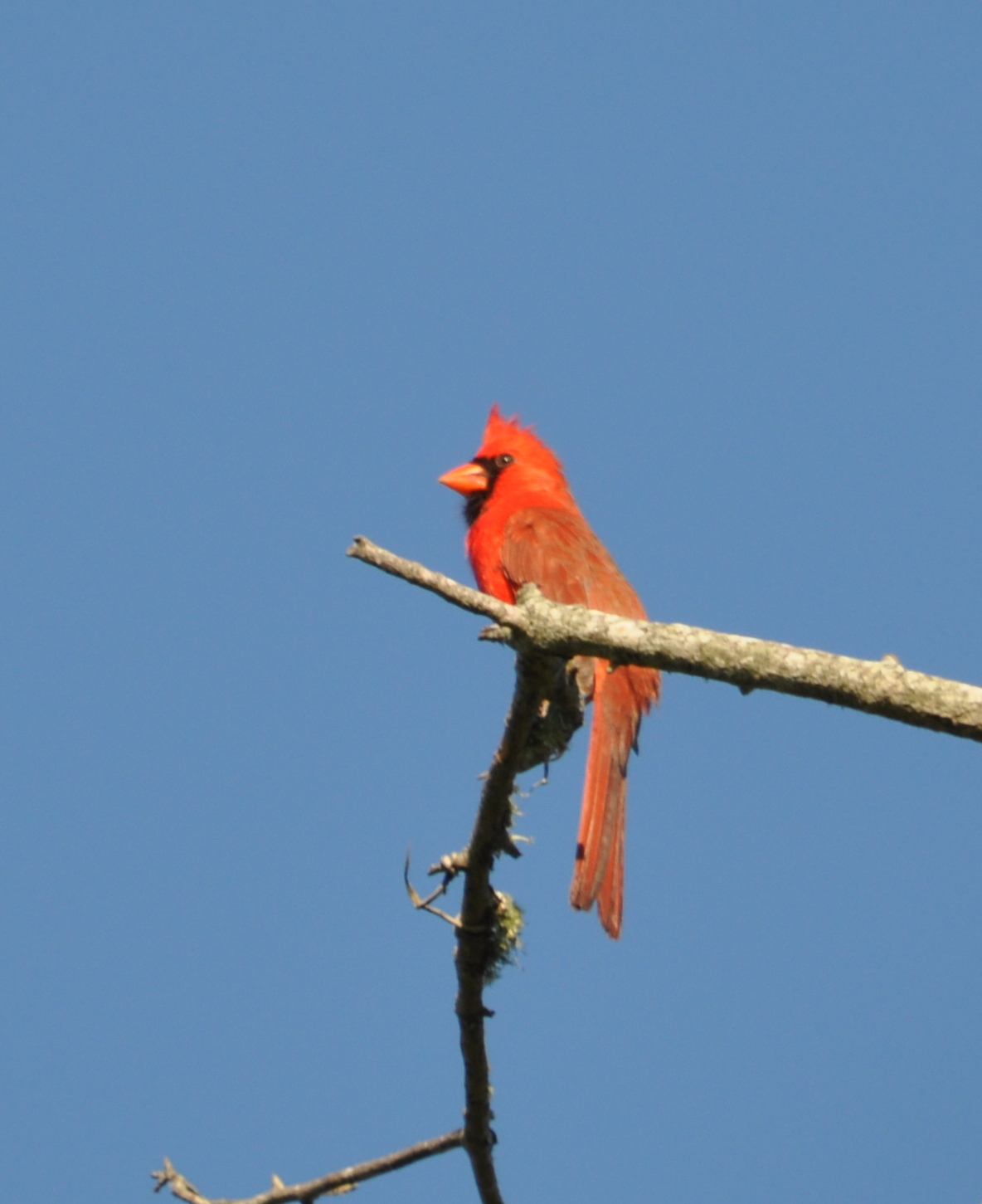 DSC_0075b.JPG