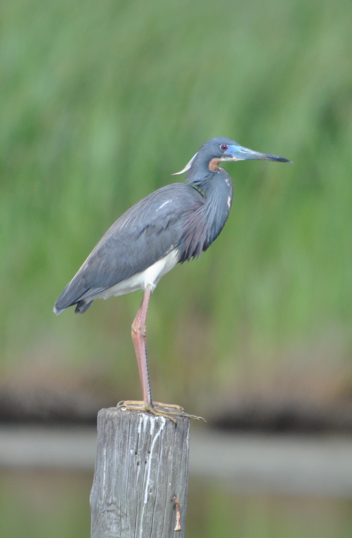 DSC_0114b.JPG