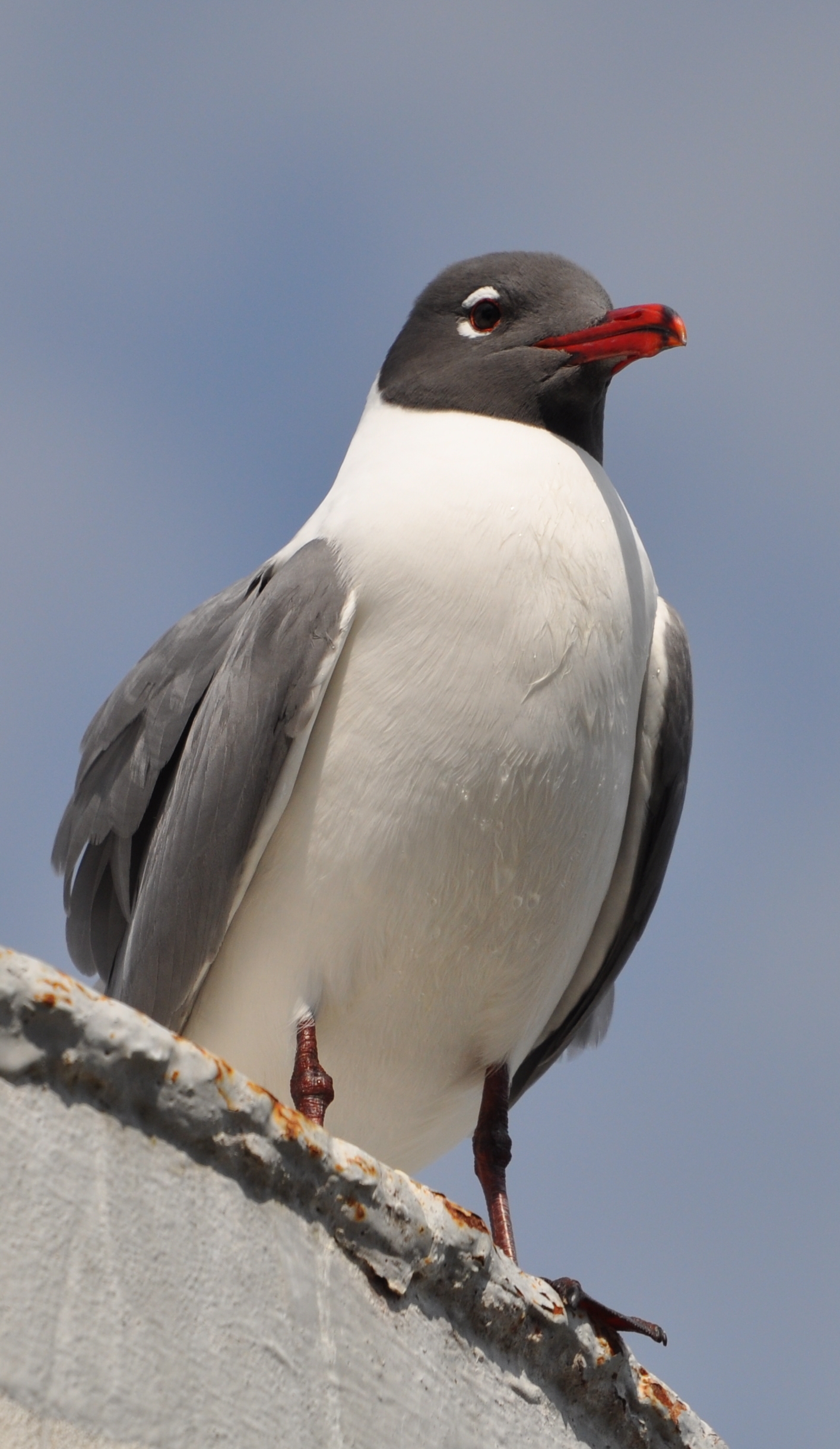 DSC_0150b.JPG
