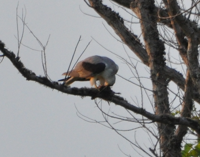 DSC_0756b.JPG