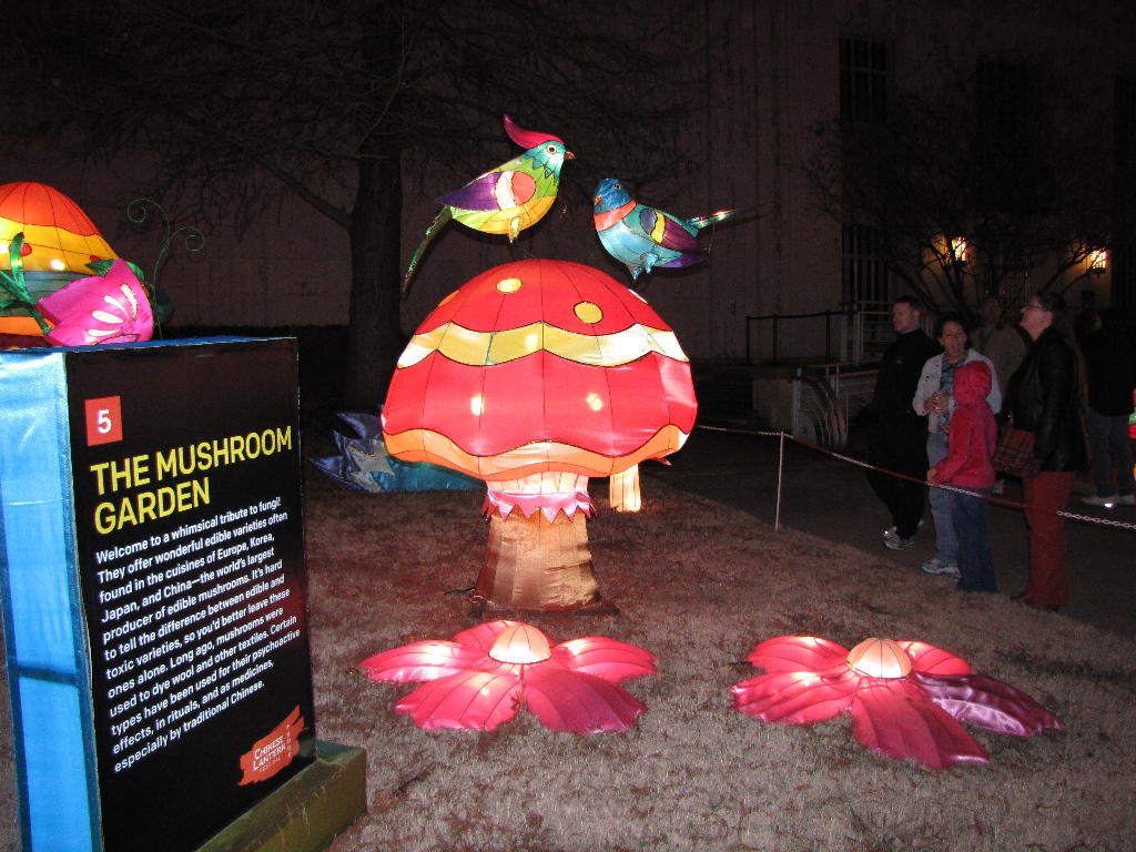 IMG_1666b.JPG