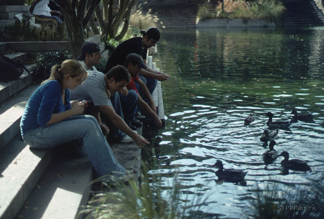 Feeding ducks at Pershing Park