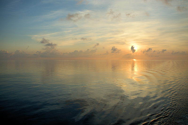 DSC03275 - Bermuda Sunrise**WINNER**