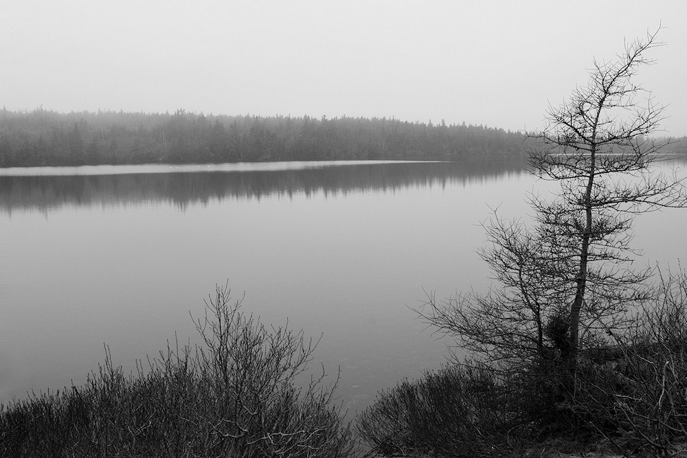 DSC06830 - Gallows Cove Pond B&W