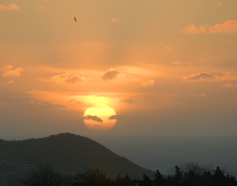 DSC00003 - Hallowe'en Sunrise from my Bathroom Window