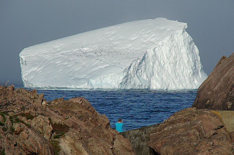 Bergs 107Off Quidi Vidi