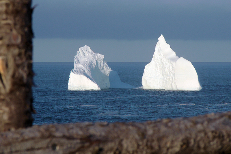 Iceberg 2008 019<br>Pouch Cove, NL