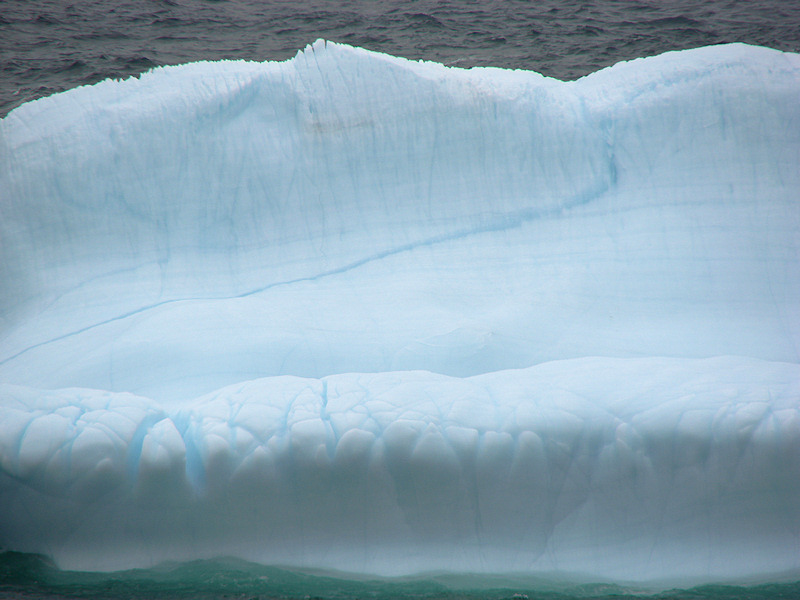 Iceberg 2008 102Cuckold's Cove