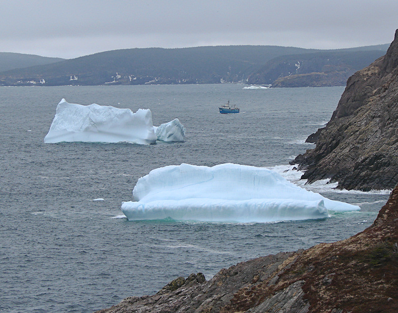 Iceberg 2008 092<br>Cuckolds Cove