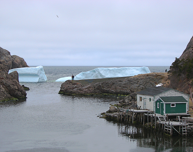 Iceberg 2008 067Quidi Vidi Village