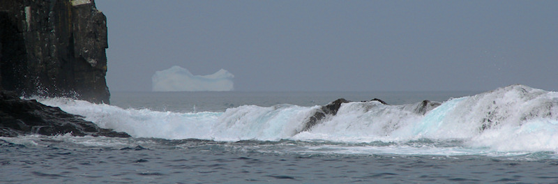 Iceberg 2008 173 - Middle Cove, NL
