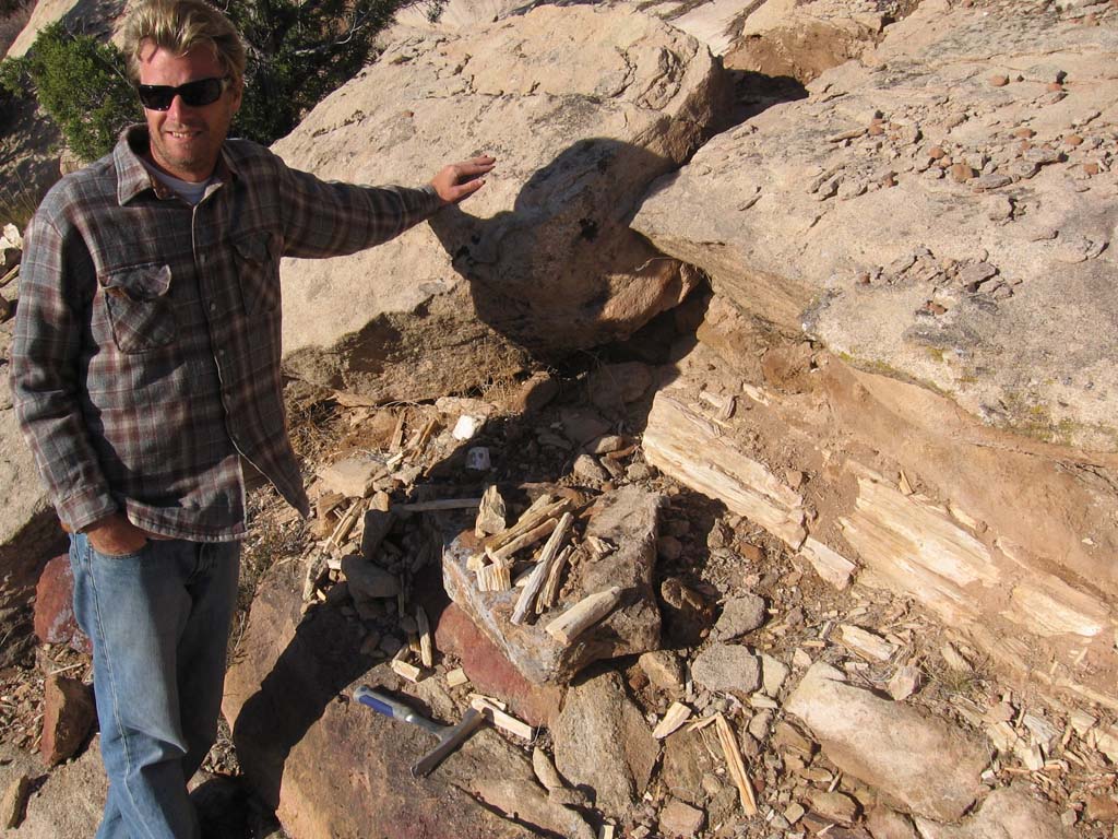 Plenty of petrified wood in or backyard