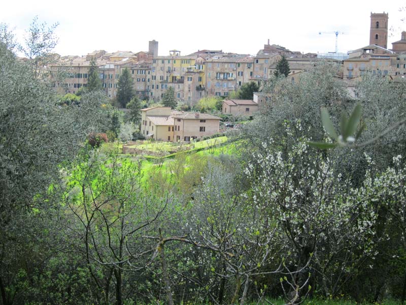 Siena