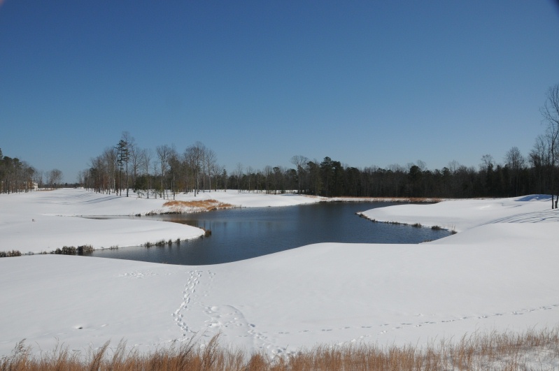 Yorktown Golf Course