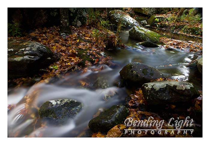 Elkmont