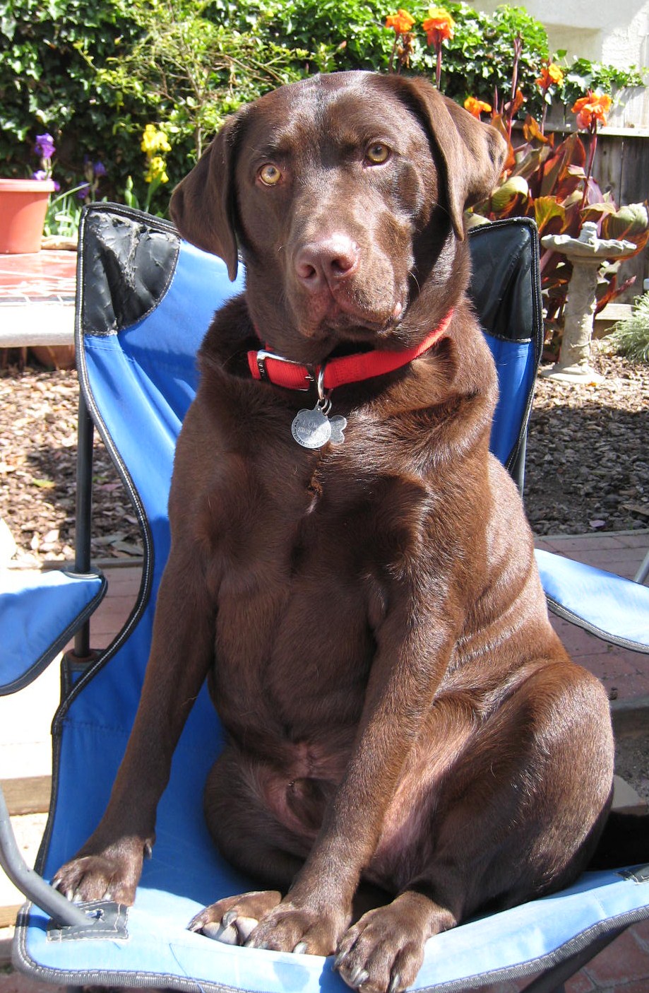 Luke in June 2009