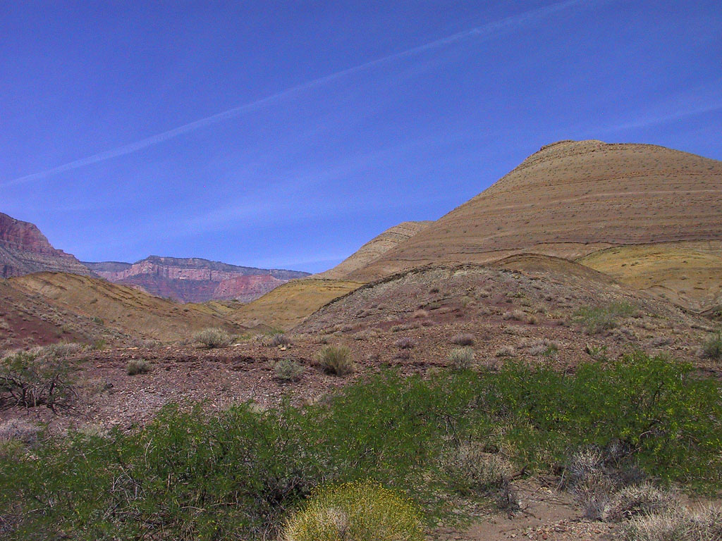 IMG_11642.JPG